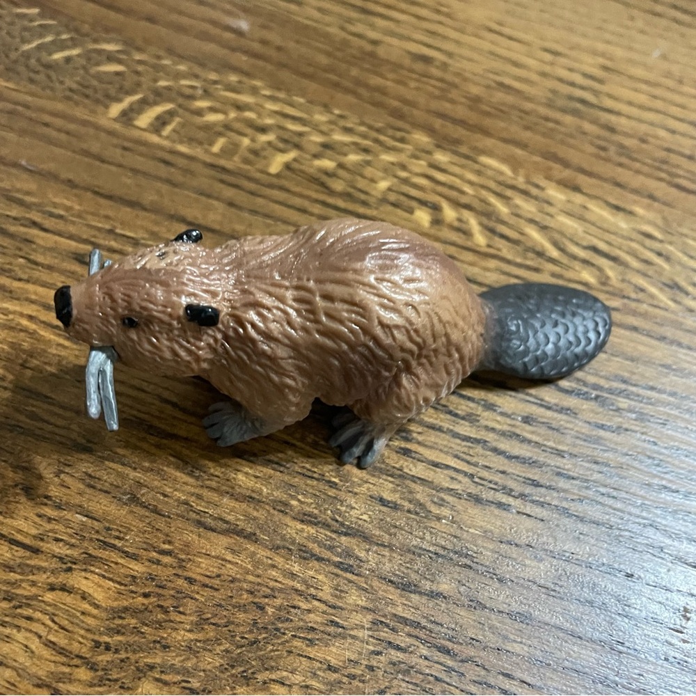 Safari Beaver Toy